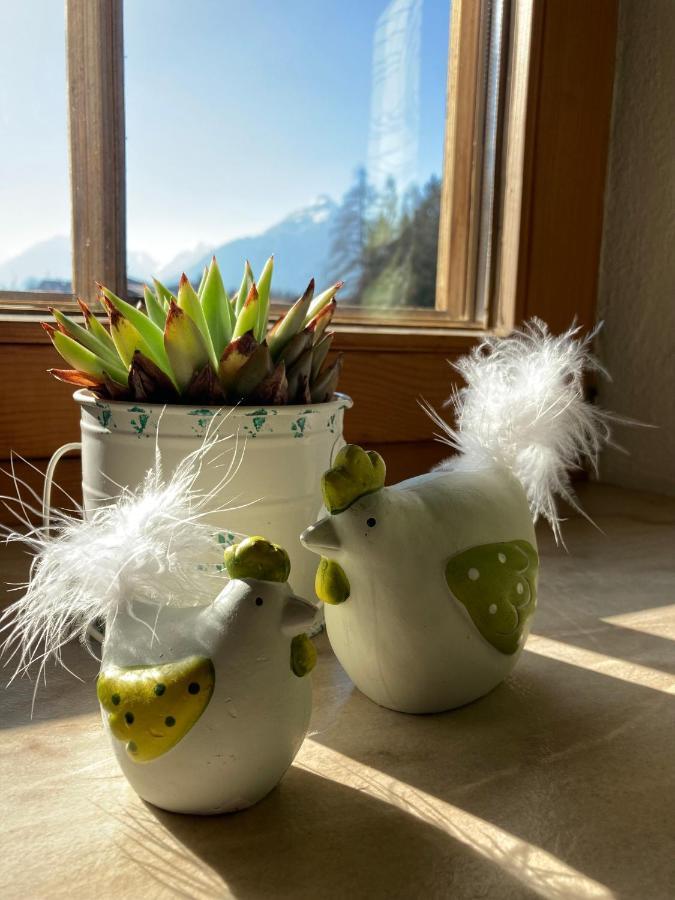 Ferienwohnung Seppen Reith im Alpbachtal Eksteriør bilde