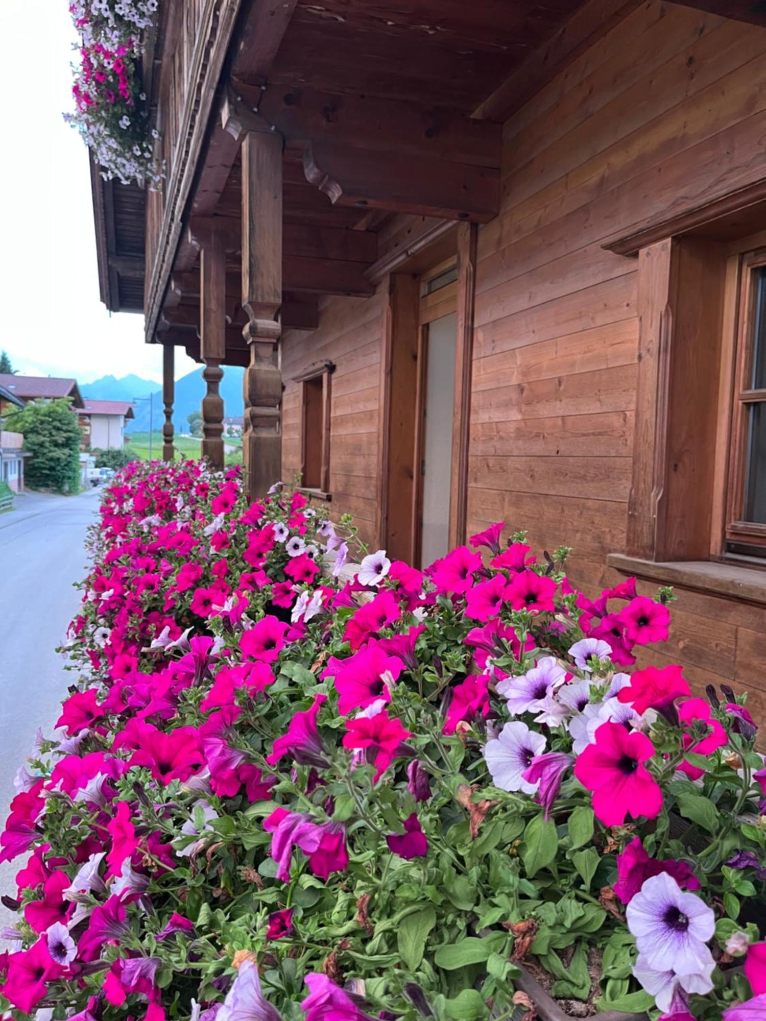 Ferienwohnung Seppen Reith im Alpbachtal Eksteriør bilde